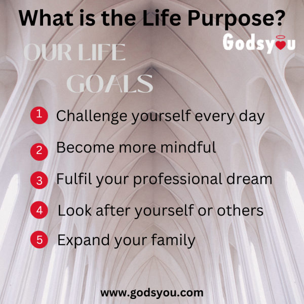 What is the Life Purpose