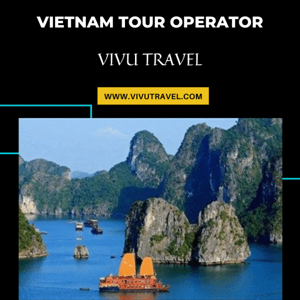 Vietnam has a tropical climate and a beautiful scenic landscape that makes you amazed at the creativity of God. Vivu travel as one of the best Vietnam tour operator provides you with the best deals that suit your needs which helps you make your holiday more memorable and enjoyable. For further details, visit us at : https://www.vivutravel.com/