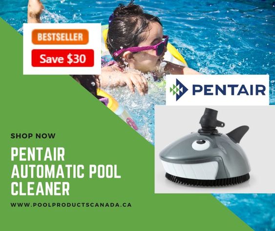 Pentair-Automatic-Pool-Cleaner4aae3bdf3df08976.jpg