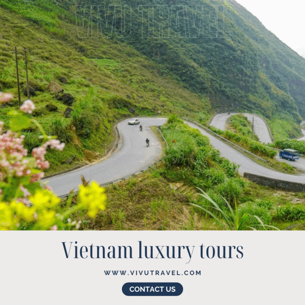 Some luxury tours may include private transportation, five-star accommodations, and VIP access to attractions, while others may be more basic and include only transportation and accommodation. It is best to speak with a travel agent or tour company to determine which type of luxury tour would best suit your needs and budget. Plan a Vietnam luxury tours now. For more details, please visit our site at: 
https://www.vivutravel.com/vietnam-tours/vietnam-luxury-tours