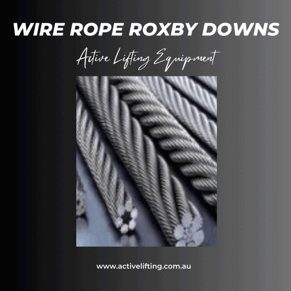 Lifting tasks require durable lifting items, and for this, you can always count on Active Lifting to buy the best Wire rope Roxby Downs. Our electric hoists generally have a durable trolley and quality hoist combination. This allows you to lift a huge range of load types comfortably. If you want to move heavy loads quickly and efficiently, you can confidently use wire rope.  Visit us : 
https://www.activelifting.com.au/wire-rope