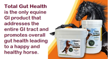 Digestive-Health-Horse-Supplementsdf96b49db7d32b13.png