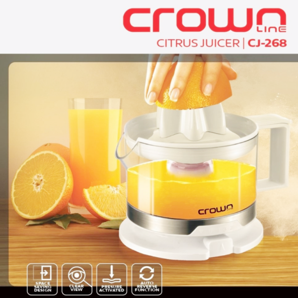 Buy Citrus Juicer in UAE