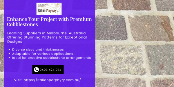 Enhance-Your-Project-with-Premium-Cobblestonese403b7e295543e24.png