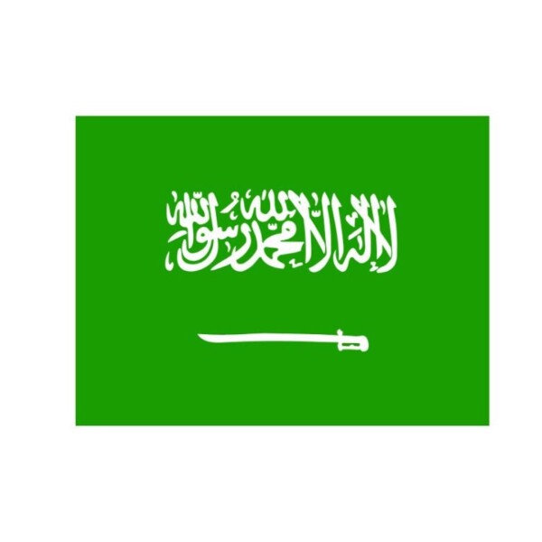 Saudi-LOGO522a634f2e8bdc74.jpg