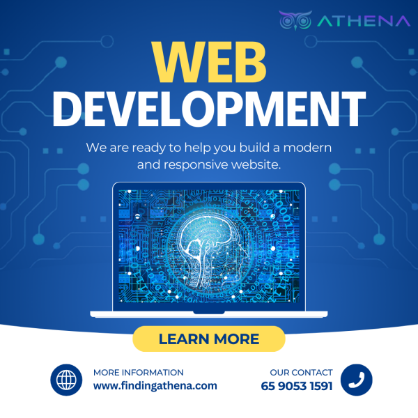 Website Development