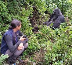 gorillastours.com0be7d535827f04de.jpg